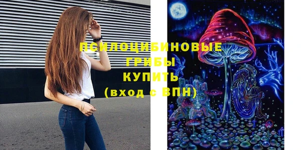 дживик Абинск