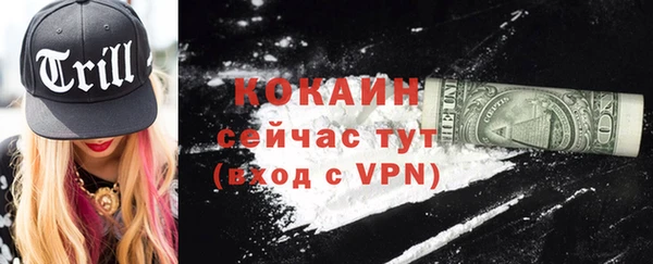 дживик Абинск