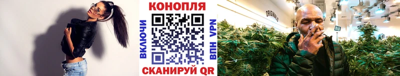 как найти закладки  ссылка на мегу вход  Шишки марихуана White Widow  Красково 
